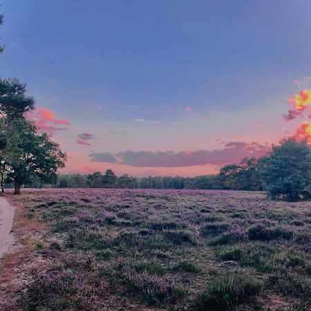 Sluwe Vos: Ontspannen In Het Bos! 欧特罗 外观 照片
