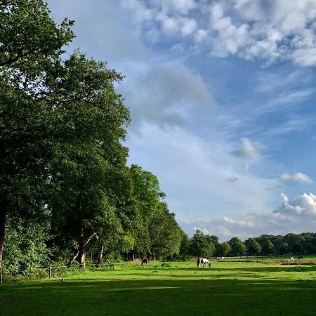 Sluwe Vos: Ontspannen In Het Bos! 欧特罗 外观 照片