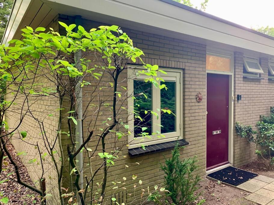 Sluwe Vos: Ontspannen In Het Bos! 欧特罗 外观 照片
