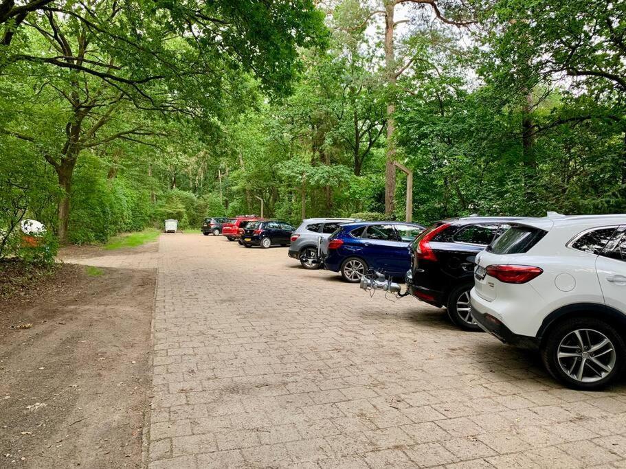 Sluwe Vos: Ontspannen In Het Bos! 欧特罗 外观 照片