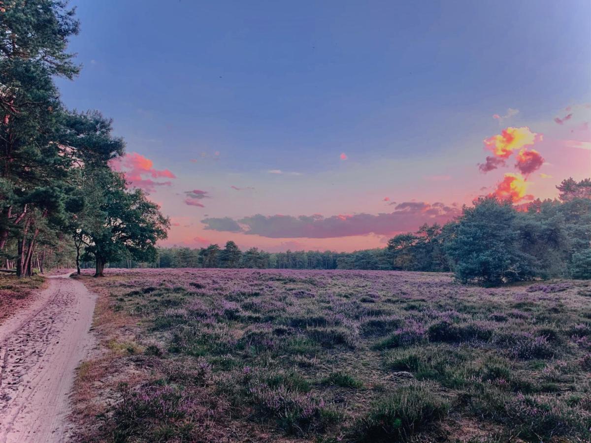 Sluwe Vos: Ontspannen In Het Bos! 欧特罗 外观 照片