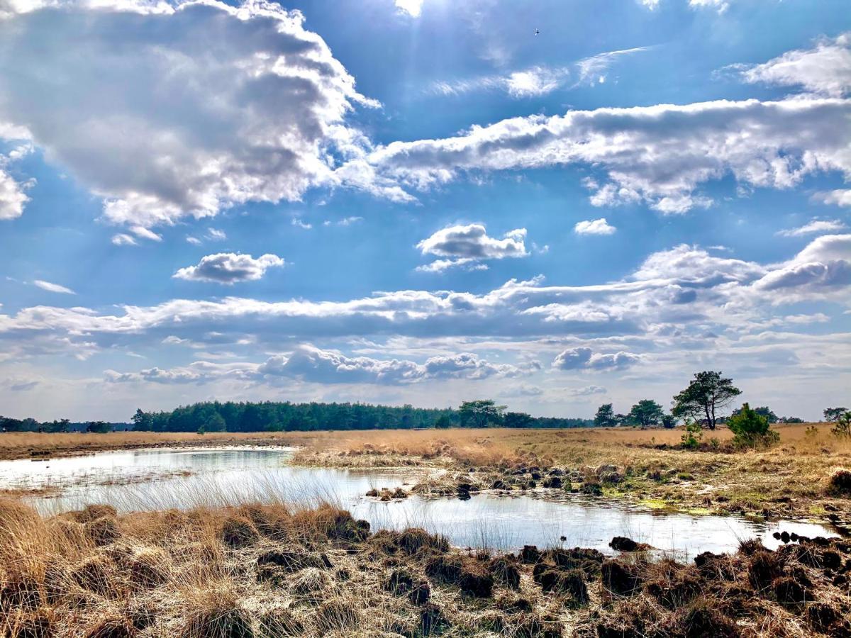 Sluwe Vos: Ontspannen In Het Bos! 欧特罗 外观 照片