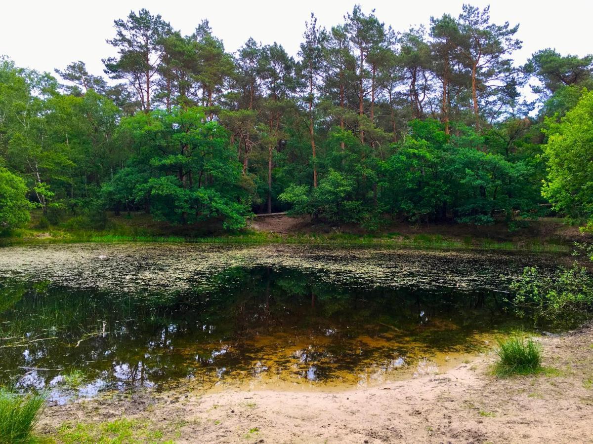 Sluwe Vos: Ontspannen In Het Bos! 欧特罗 外观 照片